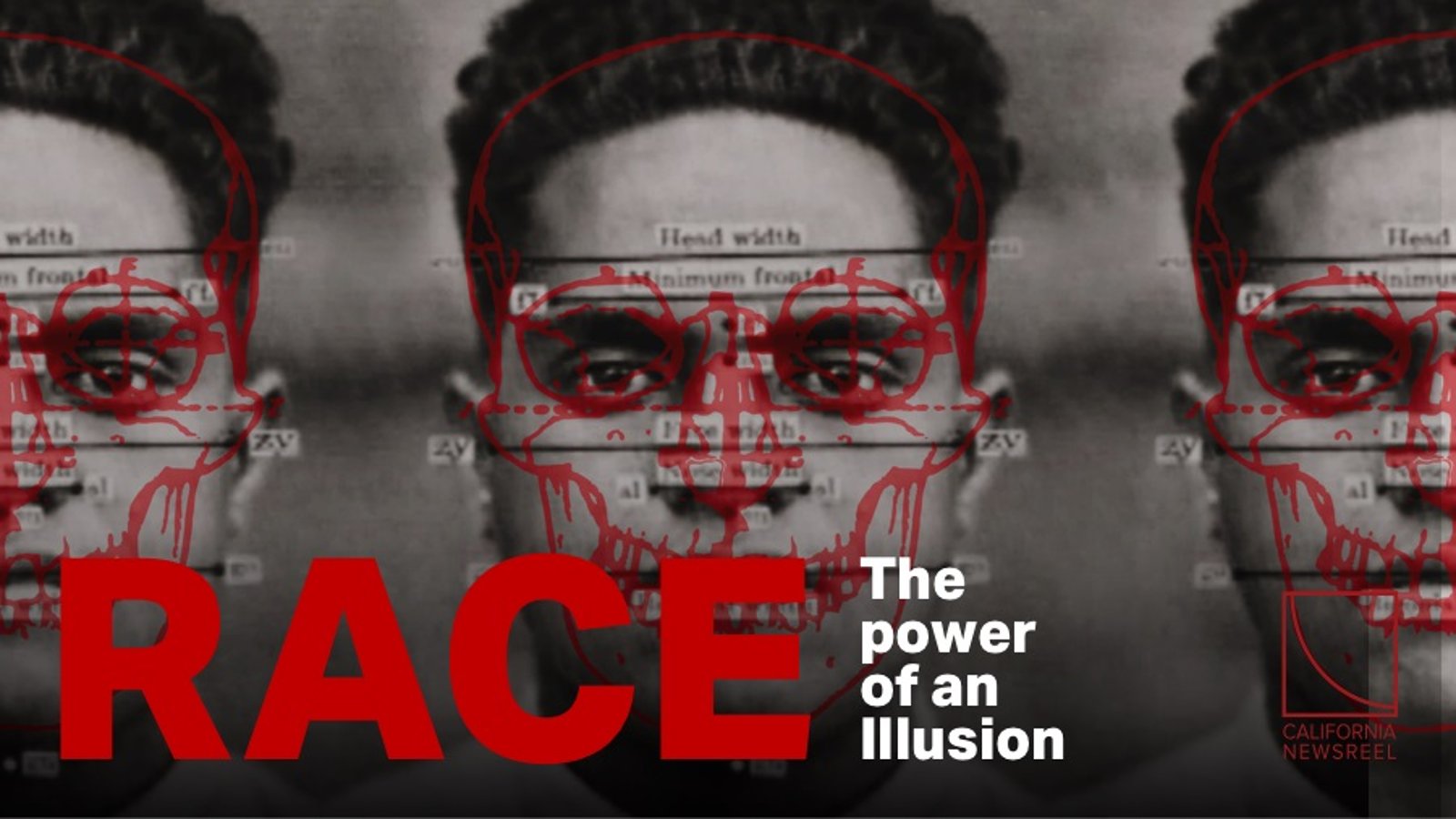 FREE Film Screenings — Race The Power of Illusion Totally